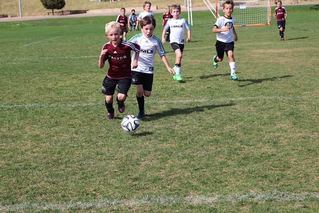 这种全新的 这种全新的