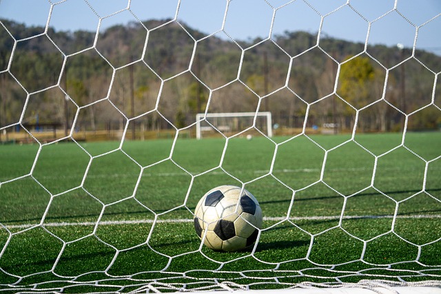 下一步的改 下一步的改