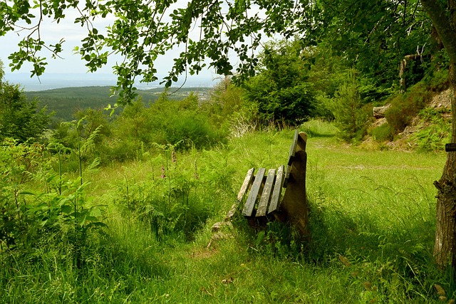 求的队友标 求的队友标