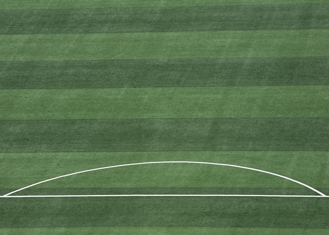 为赛季的开 为赛季的开